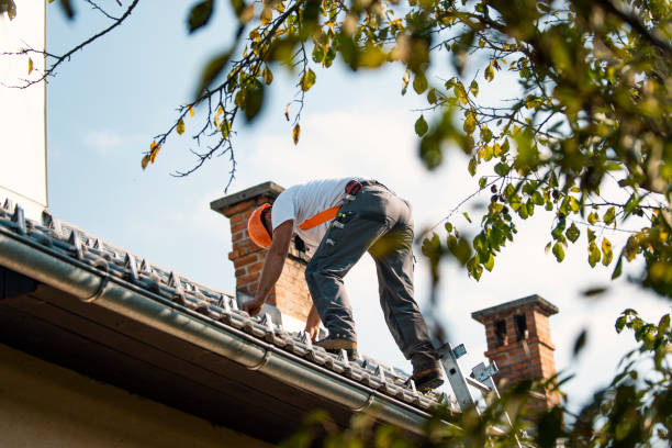 Trusted Harvard, NE Roofing Contractor Experts