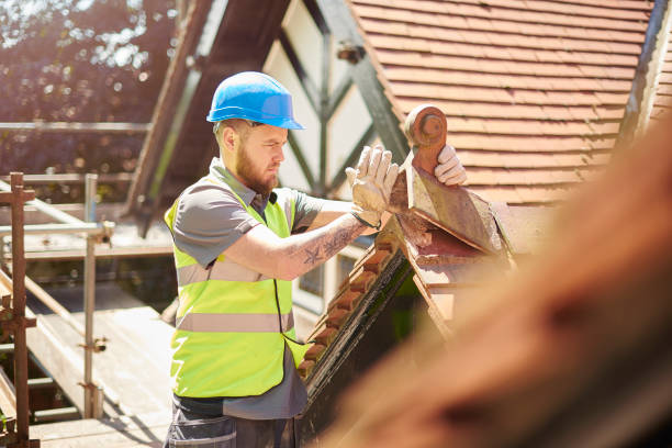 Best Roof Gutter Cleaning  in Harvard, NE